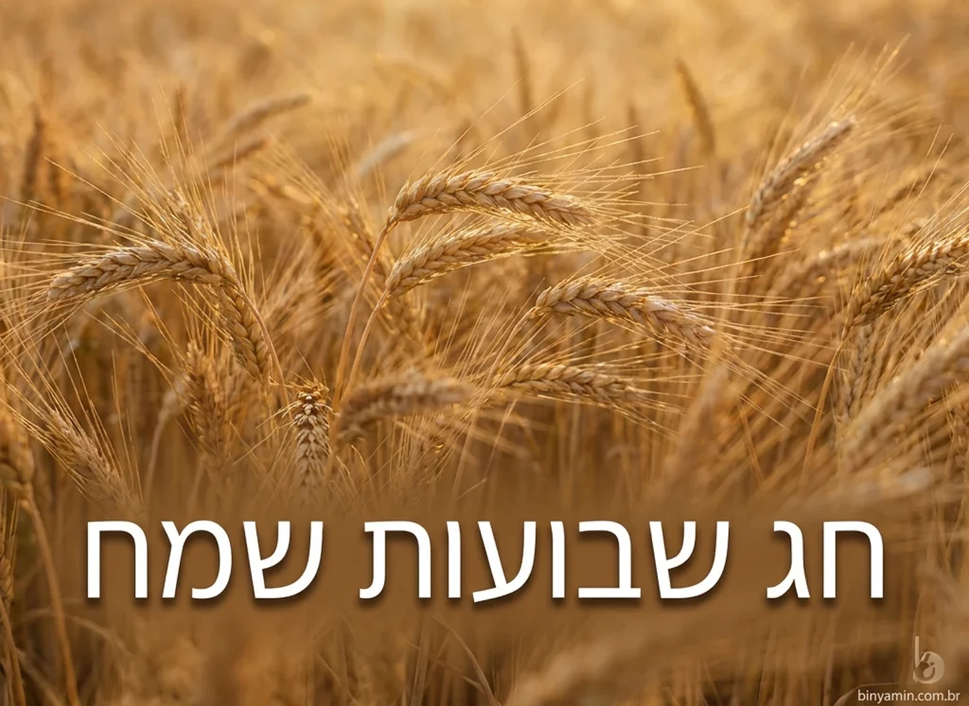 SHAVUOT 5786!